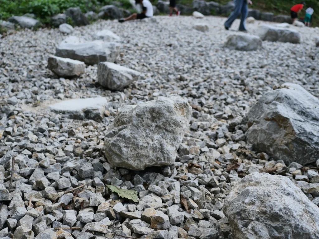 化石の谷に広がる大小の石灰岩